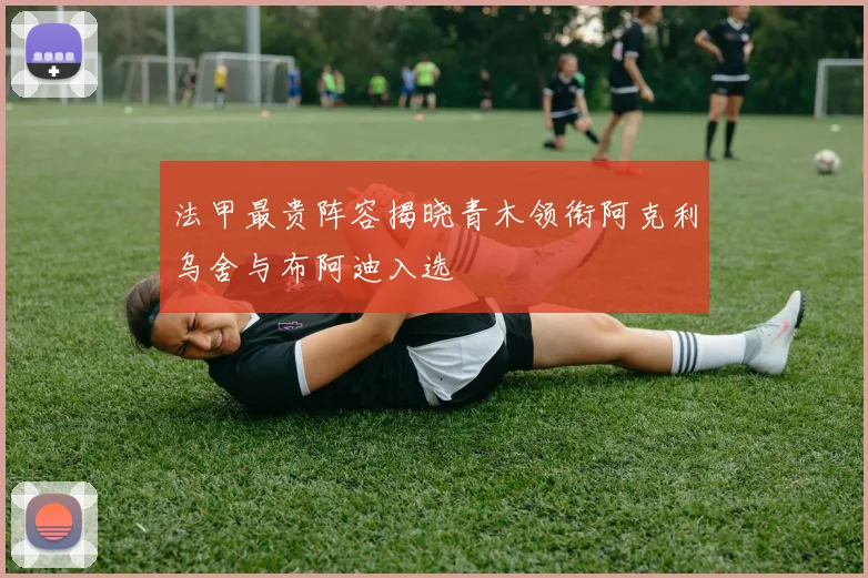 法甲最贵阵容揭晓青木领衔阿克利乌舍与布阿迪入选
