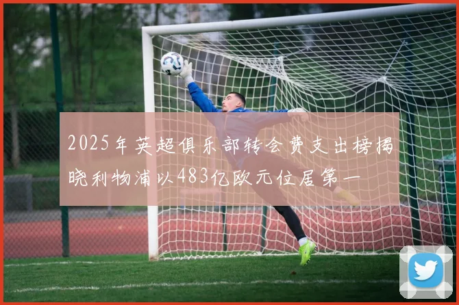 2025年英超俱乐部转会费支出榜揭晓利物浦以483亿欧元位居第一